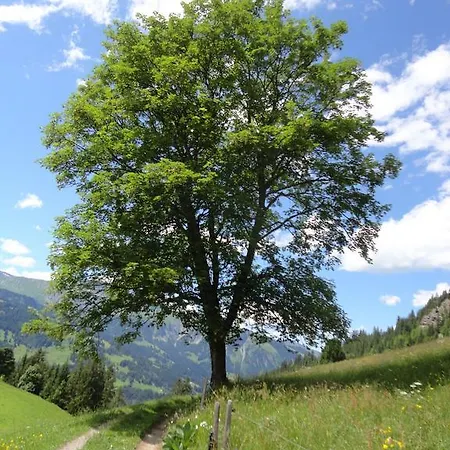 Appartement Buehlerhof