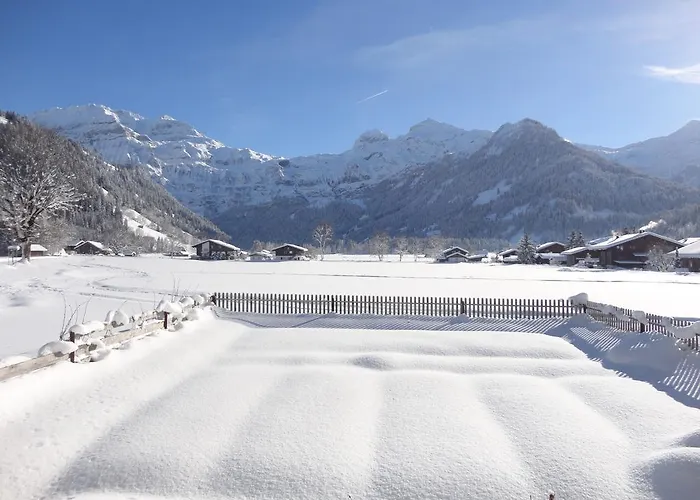 Buehlerhof דירה לנק