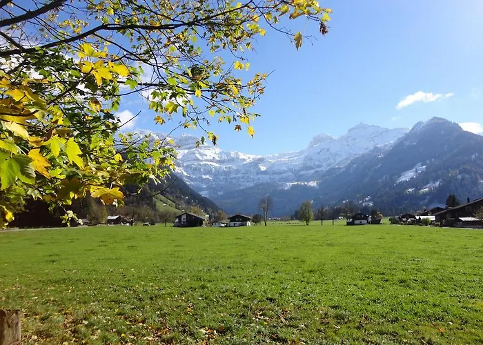 Apartament Buehlerhof Lenk