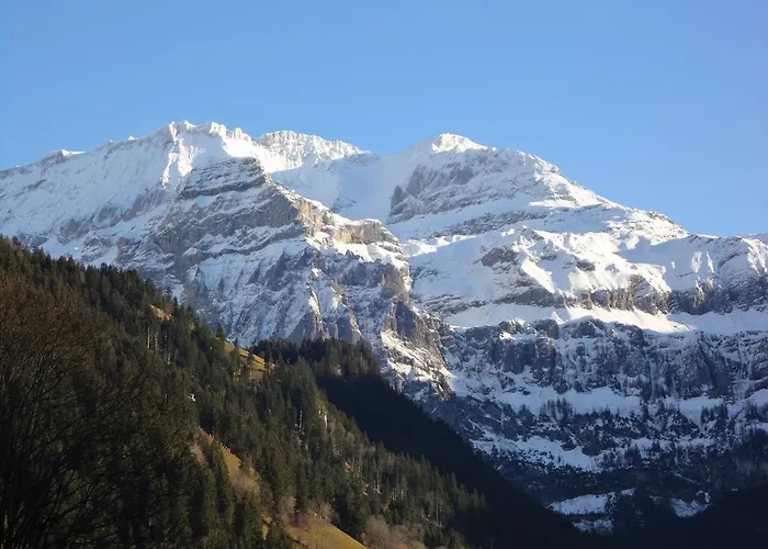 Apartament Buehlerhof